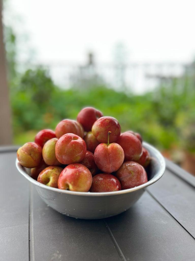 Darjeeling Bnb מראה חיצוני תמונה